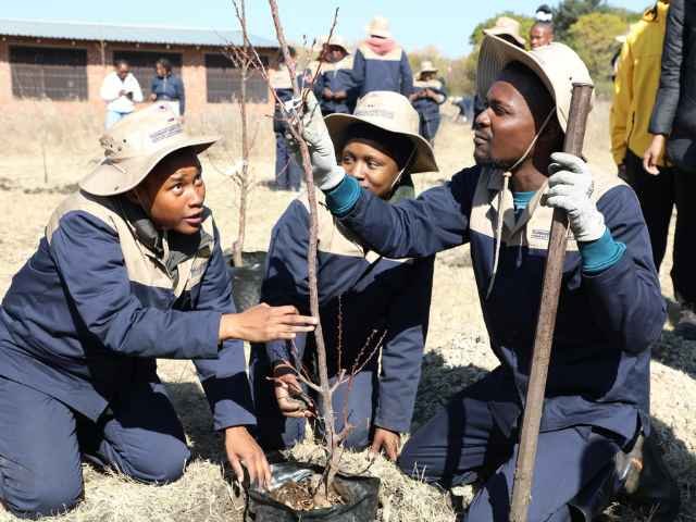 tshwane north tvet college